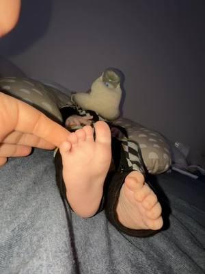 For everybody that loves baby feet 😎🥹🥹🥹 #babytok #babiesoftiktok #babyfeet #baby #feet #feetforyou #MomsofTikTok #parentsoftiktok #fyp #fypシ #viralvideo #funnyvideo 