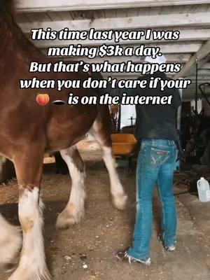 Follow me for more financial life hacks #itsamandalee #whaletail #clydesdale #onlyfarmer 