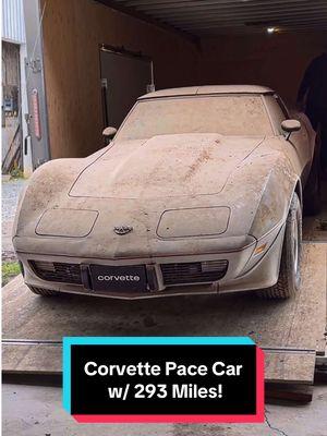 1978 Corvette Pace Car w/ 193 ORIGINAL MILES! #wddetailing #detailing #carwash #carcleaning #satisfying #satisfyingvideos #barnfind #fyp #abandoned #cardetailing #pressurewashing #asmr #trend #trending #asmrvideo #corvette 