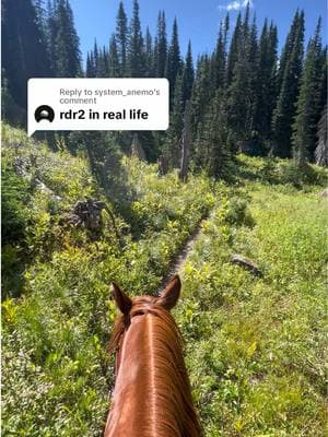 Replying to @system_anemo Happy New Year legends. Can’t wait to bring you more views like these this year 🐴⛰️ #montana #glaciernationalpark #mountains #horses #horseriding #reddeadredemption2 #rdr2 #backcountry #happynewyear #2025 #greengoldandblues 