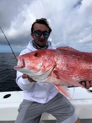 I’v been wanting to check this fish off the list for a while! Dinner is served! #fishing #offshorefishing #rednsnapper #snapperfishing #fyp #foryoupage #foryou #fishingadventure #fishingvideos #fishingtiktok #fishtok 