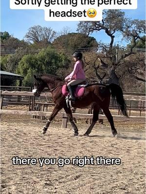 Chloe and Soleil beautiful ride #horsebackriding #ridinglessons #kidsandhorses #arabianhorses 