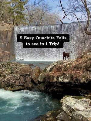 Waterfall Chasing Day Trips‼️ Part 2: Making the Most of The Ouachita's! Located in the Albert Pike / Caney Creek area near Glenwood & Caddo Gap, there are SO many short and easy falls to find, you could squeeze in a dozen or more in one road trip (we have!). These 5 would perhaps be the best known and are separated by a highly scenic 26 miles of back road drive time. 1. Shady Lake Dam & Cascades 2. Bard Springs 3. Blaylock Creek Falls 4. Little Missouri Falls 5. Crooked Creek Falls The drive is easily reversible, and you could totally add several more nearby falls to your route. 📍 Shady Lake – the dam is easily viewable from above, short pathways take you below, or take the 1/3rd mile (total) hike down under to explore it all. 📍 Bard Springs is actually 2 CCC dams with a bonus wet-weather fall in between. The old campground is now disused, so simply walk the easy 1/3rd mile round trip from the gate to see it all here. 📍 Blaylock Creek Falls is a very easy ¼ mile round trip walk along a forest road, or 4WD can park right by it. This is a great summer swimhole too! 📍 Little Missouri Falls – the crown jewel of the Ouachitas! At roughly ½ mile round trip, the very established trail will lead you to 2 overlook vantage points. Accessing below is more challenging though! 📍 Crooked Creek Falls is just about a roadside fall and is fairly easy to view from above. Accessing below may be a little steep for some. It’s a mere 500’ though if you decide to jump on in and hike it! Total drive: 26 miles / 1.5 hours; total hiking time: 1.75 miles / 1.5 hours. Make a day of it! These are all kid friendly falls and can be found on our kid friendly Falls in AR map – find the in the linktree in our bio #chasingwaterfalls #newyearnewme #waterfallhike #waterfallsinarkansas #arkansaswaterfalls #kidfriendly #ouachitas