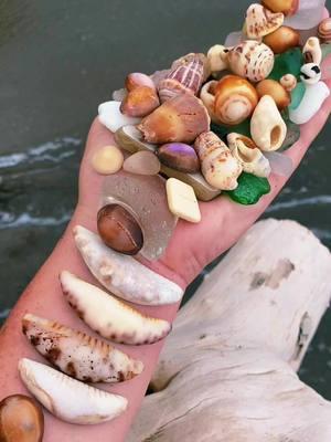 #happynewyear #mauihawaii #beachcomb #collecttrashandtreasure #seaglass #seamarble #seashells #seapottery #seabeans #milkglass #scrabbletile #seacrystals #mauidiamonds 