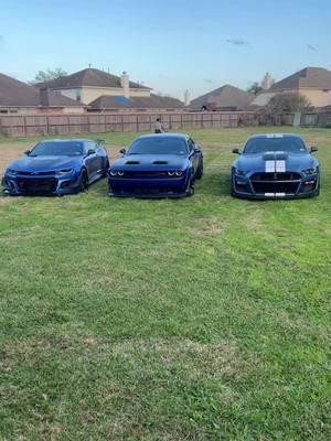 One more plz  #zl1camaro #2025 #newtotiktok #gt500shelby #hellcat 