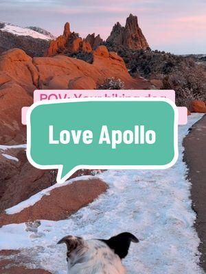 Happy New Year! #coloradocheck #hikingincolorado #colorfulcolorado #gardenofthegods #bordercollie #greatpyrenees #sunrise #letsgoexplorecolorado