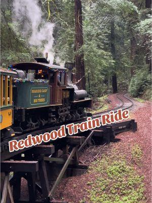 Train ride theough some Redwoods 🚂 #roaringcamprailroad #trainride #coastalredwoods #redwoods #santacruzcalifornia #redwoodtrees #traintok 