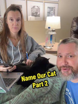 Name our cat, part 2. #nameourcat #bombay #bombaycat #domesticshorthair #domesticshorthaircat #cat #kitty #name #namemycat #fyp #fyppppppppppppppppppppppp #trending @Emily Lucas Eaton 