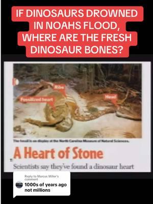 Replying to @Marcus Miller #christianitytok #noahsflood #dinosaurs #youngearthcreationist #creationist #holybible 