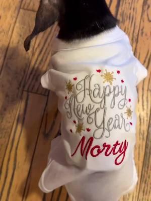 Happy New Year 🐶❤️ #mortythemisfit 