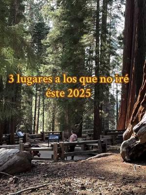 #añonuevo #añonuevo2025 #asifue #asifuejuangabriel #notengotiempo #expectativas #nuevayo #primeroyo #primeroyo_segundoyo_amorpropio  #sequoia #sequoianationalpark 