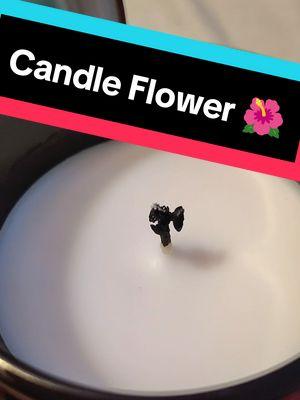 Why does this happen? #candleflower #gothgirlgg #gothgirlggrandomthoughts 