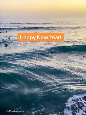 Here’s to another incredible year of sunshine, surf, and pure San Diego bliss. Will we see you in SD in 2025? . #visitsd #visitsandiego #happynewyear #2025 #blissbreak 