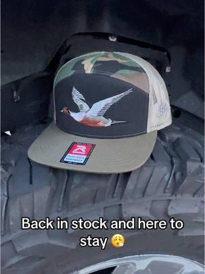 New year new hat. The Pintail is here to stay. 🫱🏻‍🫲🏼 #RedRopeThreads #SmallBusiness #blowthisup #pintail #duck #duckhunting #ducks #dodge #2500 #bubbatruck🌾 #35s #7panel #menshat #newyear 