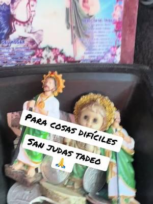 #sanjudastadeo #entimeencomiendosanjuditas💚🤴 #vendice_mi_famila🙏 #amen #patrondeloscasosimposibles 