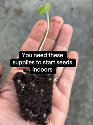 You need these supplies to start seeds indoors  T8 or T5 LEDs Lights Seed Trays Seed cell Inserts Heat Mat  Growing Medium or a seed starting mix  Water Fertilizer Vessels to pot up Oscillating fan  There are a milllion different options for supplies to start seeds indoors. You can also do winter sowing with plastic containers and a growing medium. If you have a system that works for you- stick with it. I’ve had the most success with Soil blocking   -6 weeks transplant dates but it can be done with caution for earlier starts. If Upcycling containers make sure there is proper drainage. Egg shells, ice cream cones, fiber pots make sure soil temperatures are warm enough to break them down. If you would support local stores that would be great. Check thrift stores too. You also need a fan. T8 link able LED - (does not produce heat and easier on your electric bill) lights, 10x20 trays, 6 or 9 pack seed cell packs, Dry amendment  (keep the smell down), growing medium. Clear cups to pot up in once your plants are too big for the cells. Snip the bottom side for good drainage. Heat mat with a temperature dial. I have reused these supplies for years and years. I even repair them when they become damaged.  Feel free to ask questions in the comments. #naturalgardening #gardening101 #organicgardening  #growyourownfood #seeds 