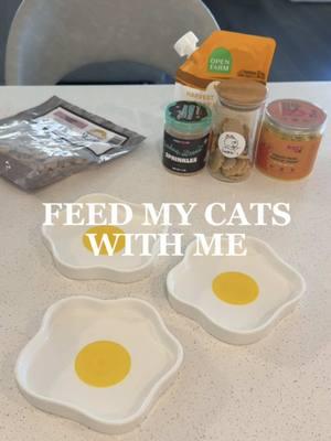 Feed my cats with me 🤍  Happy New Year everyone! 🎉 On the Menu 🍽️ ⟡ @smallsforcats Smooth Turkey ⟡ @Arya.Sit Pumpkin Yogurt ⟡ @Cosmicos Petbakery Chicken Breast Sprinkles ⟡ @Fresh Is Best Venison Bites ⟡ Cookie’s Pet Treats ⟡ @Open Farm Pet Chicken Bone Broth Discounts 💌 🔖 “SIMPLEKITTIES15” | 15% off Open Farm 🔖 Smalls Free Sample Box in bio 🔗 ($10 Shipping) 🔖 “SIMPLEKITTIES15” | 15% off Cosmicos 🔖 “SIMPLE15” | 15% off Cookie’s Treat 🏷️✨ #catparent #catcare #catfood #petfeeding #cattreat #cattreats #pettreats #whatmycateats #whatifeedmycats #feedmycat #feedmycatswithme #feedingmycats #cateating #catfeeding #feedingcats #catfeedingroutine #catfoodprep #catfoodrecs #catfoodideas #petfood 