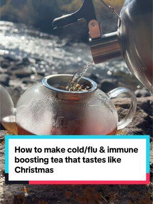 I was inspired to create this tea one year while my family and I were camping and a few of us weren’t feeling the best.  Since then it’s helped thousands of people keep their immune systems prime and helps flush out cold & flu fast!   Watch to learn how or get a bag at Herbalish.NET #immunitea #herbaltea #coloradocamping #vanlife #herbalish #apothecary #looseleaftea #coldfluseason #warmtea #mullein #bluespruce #teatime #allergyremedy #herbaltea #viral #howto #teatime #herbalremedy 