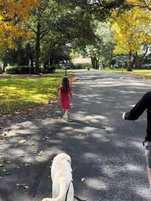 Snippets from yesterday- I really enjoy having slow days where we dont have a ton of activities. This year I’m going to work on not feeling bad about it 😆 #homeschool #flowergardening #goldenretriever 