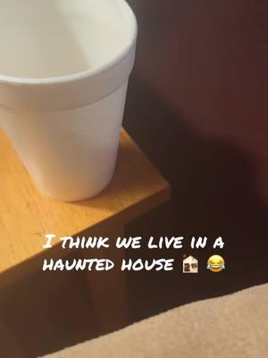 Life of a stink bug in Ohio 😂 #kickinitwiththeknipps #tiktokfun #happynewyear #johnnyknipp #cup #coffee #stinkbug #funny #fypシ #forentertainmentpurposesonly #hauntedcup #viralvideo 