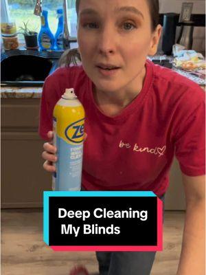 Blind Deep Cleaning. #cleanhome #cleaninghacks #residentialcleaning #cleaninglady #oddlysatisfying #asmr