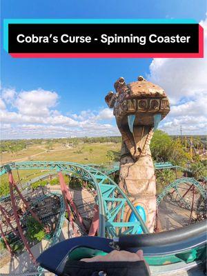 Cobra’s Curse is a Mack Rides flawless spinning coaster. The elevator lift gives a thrill just from the exposure straight up plus the views of the Serengeti. Gorgeous all the way through at Busch Gardens Tampa, FL. #rollercoasters #coaster #cobrascurse #buschgardens #buschgardenstampabay #buschgardenstampa #walruscarp #coasterpov 