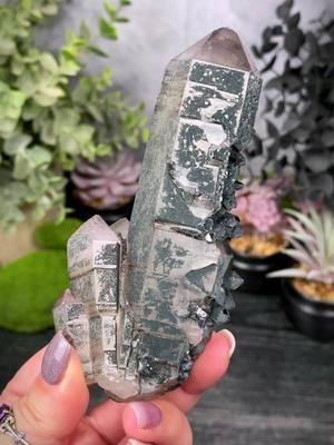 A wicked, recent find of specularite and hematite coated/included smoky amethyst from Huanggang Liang, Inner Mongolia, China. THESE ARE AWESOME.. I can’t wait to start 2025 with this find.. Available on this weekend’s lives..  60’s-800’s Saturday, January 4th @ 4PM CT Sunday, January 5th @ 1PM CT #amethyst #mineraltok #crystaltok 