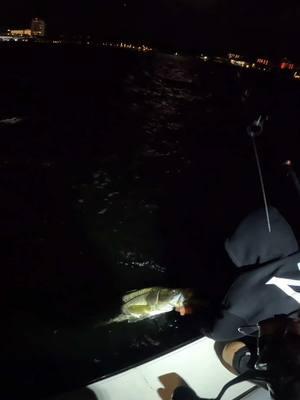 Stay tuned for some action!!!!! #fypシ #fishing #floridacheck #florida #snook #miami #likeandfollow👍 #boom #fisherman #lurefishing #nightfishing #foryoupage 