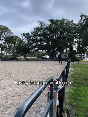 For no reason 🤦‍♀️ #equestrian #horses #trainer #ottb #bayhorse #ottbjumper #showjumper #hunterjumper #jumpers #horsesoftiktok #equestrianreposts 