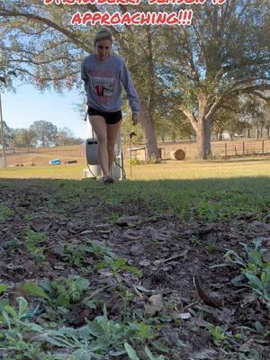 Kinda forgot to take care of these for a few weeks. Hopefully some fertilizer and lots of water gives them a boost to catch back up! Ooops! #gardening #florida #homesteading #floridahomestead #strawberries #floridafarm #homestead 