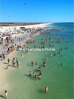 polar plunge, anyone? air temp in Navarre Beach, FL during the festivities was 59° while the water was a crisp 64° 🥶❄️🌊🏝️ Happy New Year! #polarplunge #ocean #oceandip #newyear #happynewyear #florida #beach #winter #floridawinter 