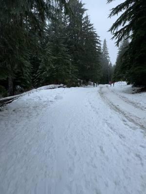 Haciendo Hiking en Gold creek pond , snoqualmie pass Washington #seattlecheck #seattlewashington #pnw #seattletiktok #winterwonderland #leavenworth #winterfest #mountains #snoqualmiepass 