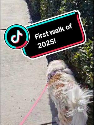 First walk in the New Year! Me and Ruby started 2025 with a stroll on this beautiful day.  #newyearsday #2025 #fitnessmotivation #weightlossjourney #walkingforhealth 