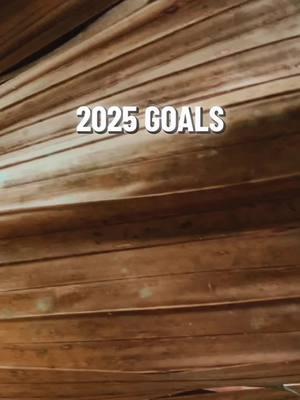 2025 GOALS #happynewyear #2025goals #goals #2025 #teamfuqfce #funny #meme 