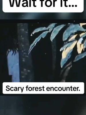 In this scary forest video, this camper seeing something terrifying in the forest. Thankfully he ran fast and far and likely won’t go camping again. #mystery #explore #horrortok #caughtoncamera #scary #creepyforest #scarymoments #scaryforest 