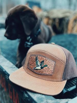 Love this combo! #fyp #gundog #viral #duckhunting 