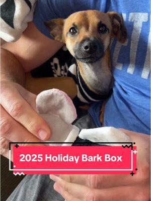 The @Shop BARK box toy subscription went hard for 2025 #BarkBox #NewYear'sEve #NewYear'sEveDog #Puppy #PuppyToys #PuppyTraining #ChewToys #CuteDogsOfTicktock #DogSubscriptionBox #SubscriptionBox