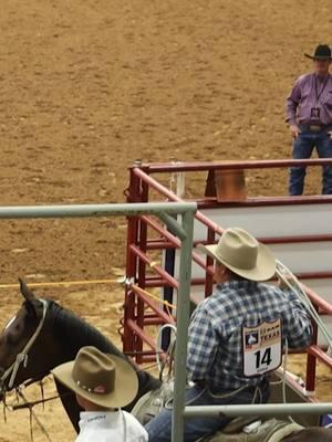 It's That Quick 😎 #cattle #calfroping #steertipping #rodeo #texas #texasfair #horseriding