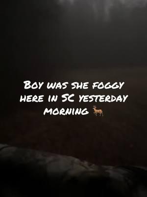 #fyp #4yp #countryliving #countrylifeforme #lifeinthecountry #farmlife #huntlife #deerhunter #deerseason #foggymorning #lowvisibility #