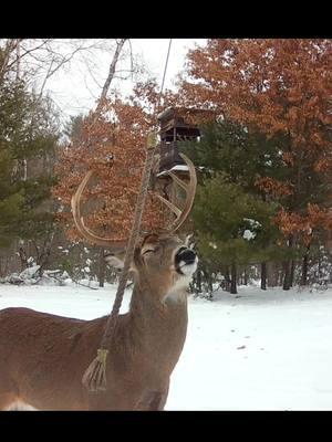 Thank you all for making 2024 so amazing! Lets make 2025 even better! 🦌 Happy New Years! 🍾 • • • #deerhunting #deer #deerhunter #bowhunter #bowhunting #bowhunt #archery #whitetail #whitetailbuck #whitetailhunting #hemprope #SmallBusiness #TikTokShop #newyears 