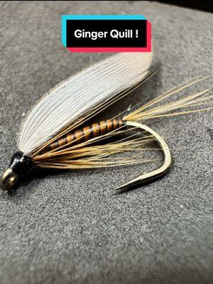 Ginger Quill Wet Fly! Hook: @AhrexHooks LE880 size 12 Thread: Magpie Materials 72D  Tail and hackle: Sideling hill greenwells hen  Body: Stripped peacock quill  Wing: Natures Spirit duck quills  Resin: UV Craft  Tools: TheFlySmith  #TheFlySmith  #flytying #magpiematerials #magpieturkeybiots #magpiefinebeaverdubbing #whitingfarms #naturesspiritflytying #lidrig #fly #flytyingjunkie #flytyingtutorial #flytyingaddict #flytok #satisfying #flytyingnation #fyp #harelinedubbin  #fishing #flyfishing #pescamosca #Upavon