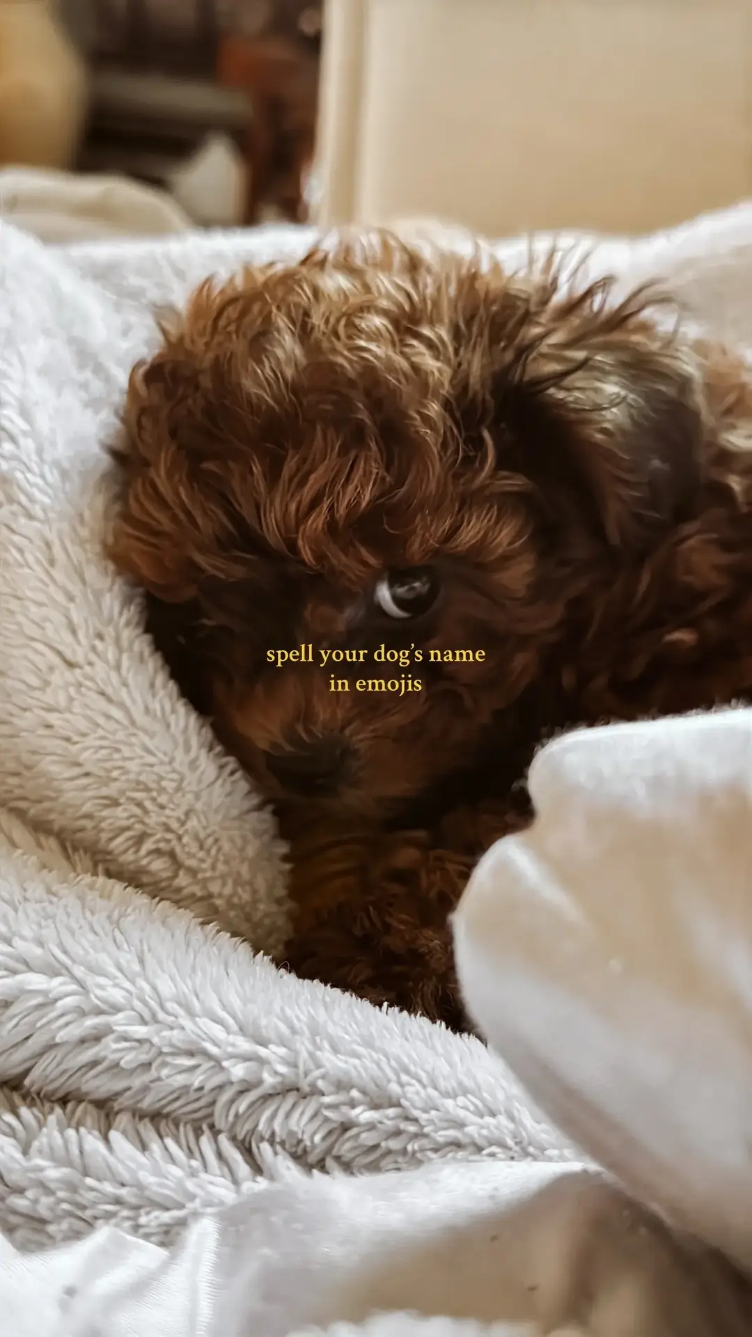 #emojiname #dognameinemojis #trending #viral #dogmom #puppy #puppies #cutepuppy #puppiesoftiktok #dogsoftiktok #dog #dogs #fyp #foryou #foryoupage #dogname #dognames #girldognames 