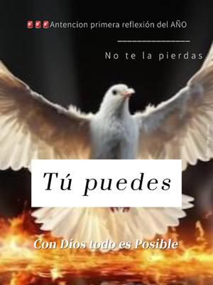 #jesus #fe #esperanza #parariktok #puertorico #fyp #reflexion #hagamosviralajesus #jovenescristianos #iglesian #mundo #argentinas #guatemala #chile #fyp:) #hagamosajesusviral #foryous #predicascristianas #fechristiana #Superación #RompeLasCadenas #reflexiones #video #delbueno #TrabajadoresDeLaConstruccion #predicandoenlascalles #jesus #DiosEsBueno #DiosEsAmor