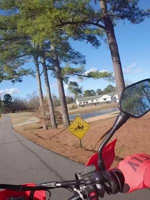 Just catching a little wind on the 450 #fyp #foryou #crf450rl #supermoto #renthalbars #showashocks this is just a video game TikTok 