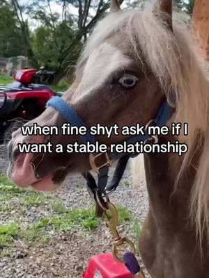 #horses #stable #fineshyt #fyp #fyppppppppppppppppppppppp #blowthisup #trending #viral #viralvideo #mood #quotes #quotesforyou #quotesoftheday #relatable #relatablecontent #relatablequotes #relatablememes #memestiktok #floptok #real 