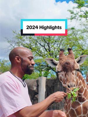 Check out the highlights of a wildlife educator and zookeeper! #blackzookeeper #junglejordan #educator 