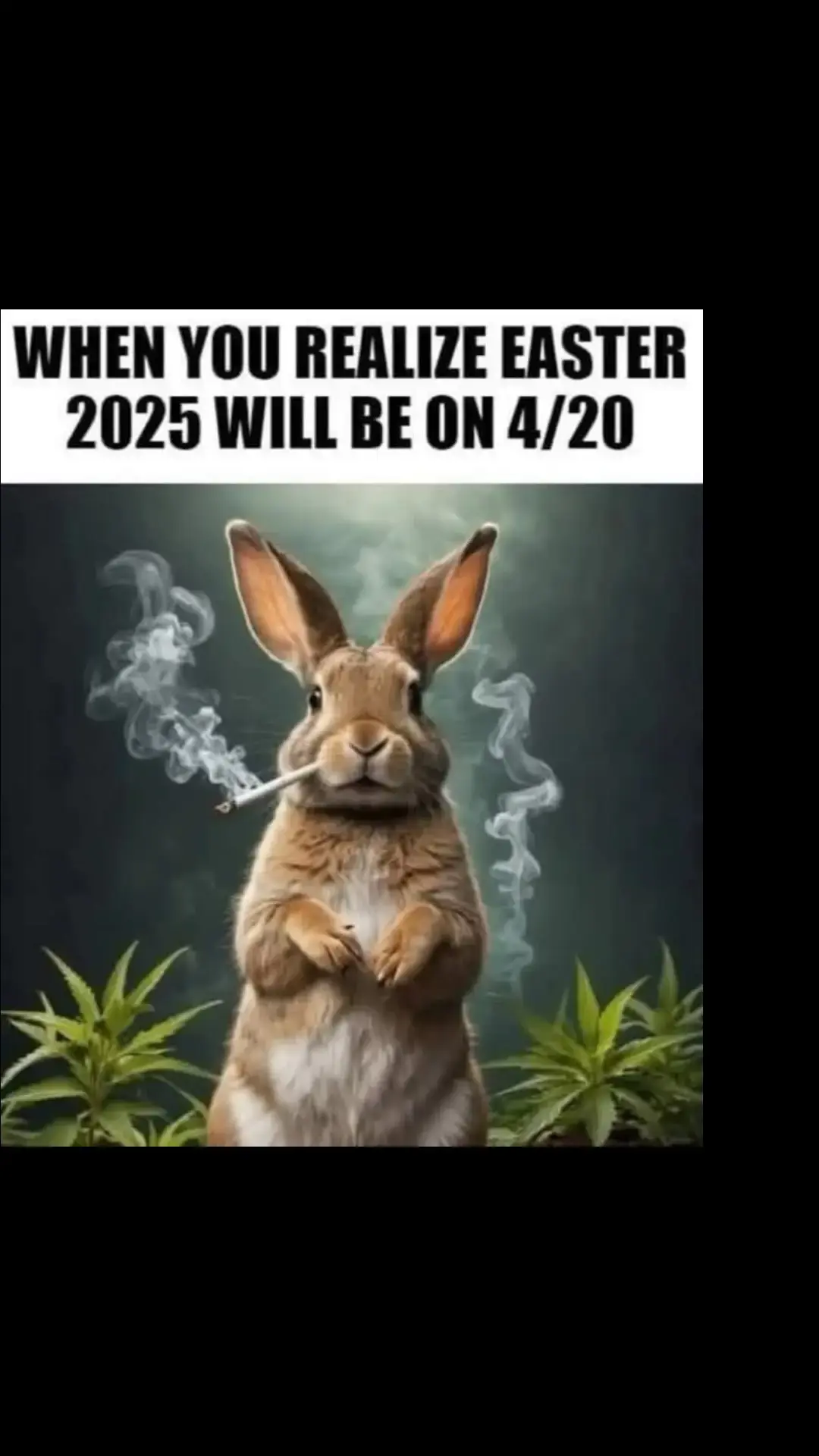 #420 #easter2025 #christian #garden #fypシ゚viral 