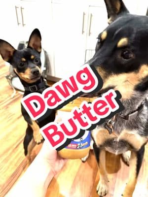 Dawg Butter is healthy peanut butter for dogs with superfoods & supplements inside every delicious tablespoon. Every purchase supports rescue dogs #dog #dogs #dognutrition #doghealth #dogfood #doglovers #dawgbutter #pawpower 