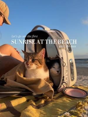 brought the kitties to see the first sunrise of the year 🌅🤭 #cat #cattravel #travel #newyear #sunrise #beach #beachsunrise #catmom #catbackpack #catsoftiktok #newyearnewme #2025 #Lifestyle #tuxedocat #boycat #girlcat #catadventures #inspiration #funideas 