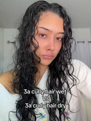 3a curly hair is very deceiving when wet 🙈 #3acurls #curlyhairtutorial #curlyhairproblems #longcurlyhair #curlyhair #curlyhairtips #wettodrycurls  